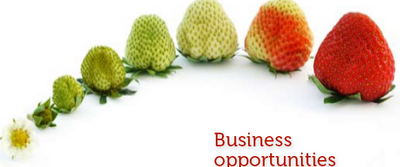 Fundación Novia Salcedo. empleo, emprendizaje, futuro.