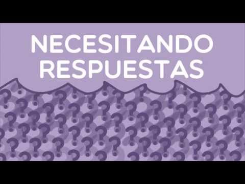 Fundación Novia Salcedo. empleo, emprendizaje, futuro.