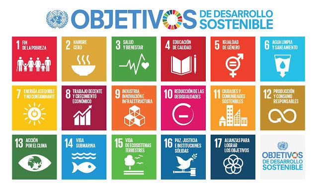 Fundación Novia Salcedo. empleo, emprendizaje, futuro.