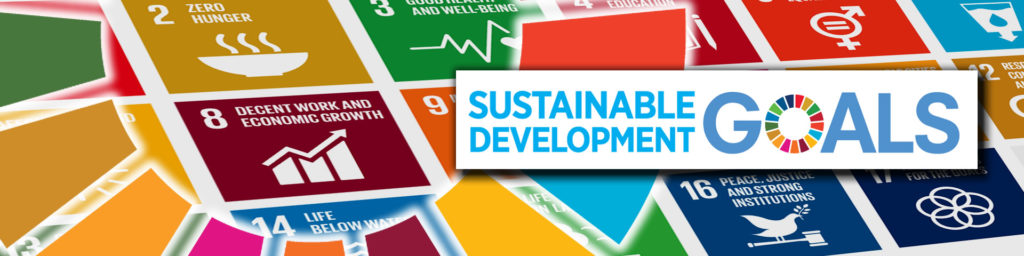 sustainable development goals