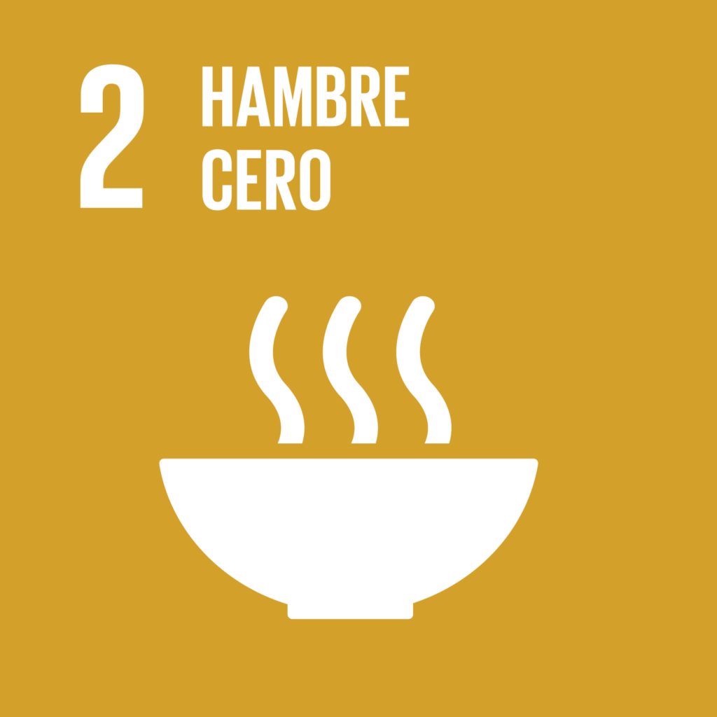 ODS 2 - Hambre cero