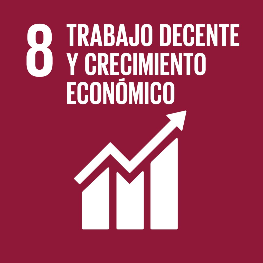 ODS 8 - Trabajo decente y crecimiento económico