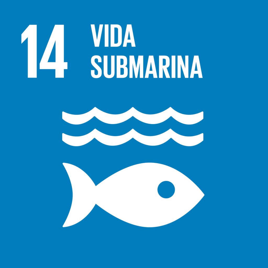 ODS 14 - Vida submarina