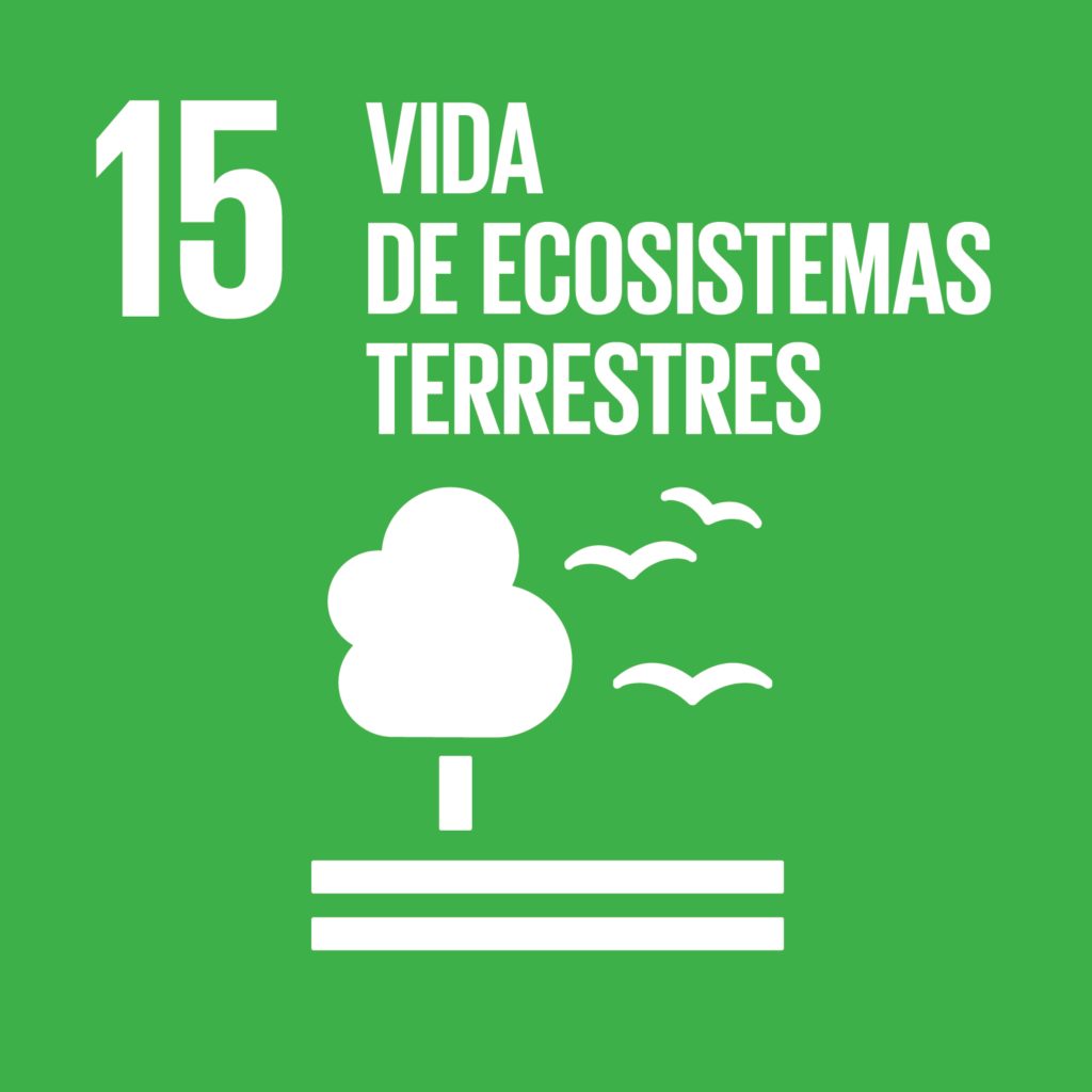 ODS 15 - Vida de ecosistemas terrestres