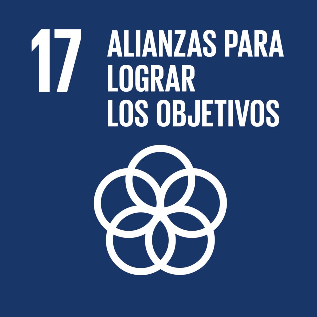ODS - Objetivos de Desarrollo Sostenible - 17: Alianzas para lograr los objetivos.