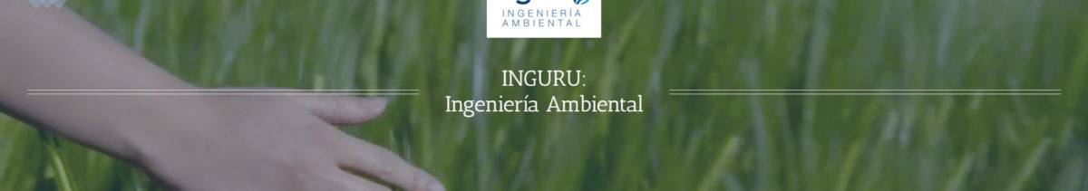 Práctica profesional en consultoría de proyectos mediambiental – Vitoria – Ref.12008