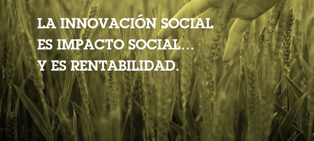 Fundación Novia Salcedo. empleo, emprendizaje, futuro.