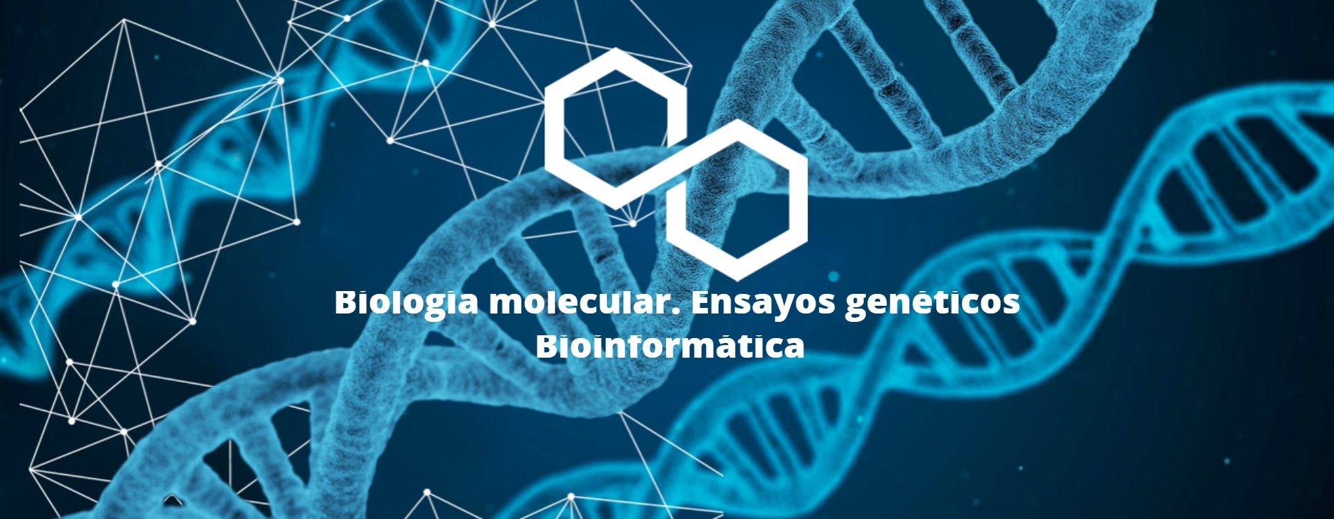 Becas Prácticas profesionales remuneradas en AnbioLab con Fundación Novia Salcedo