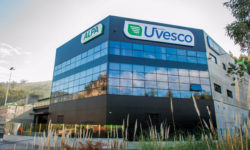 Becas Prácticas profesionales remuneradas en Uvesco con Fundación Novia Salcedo