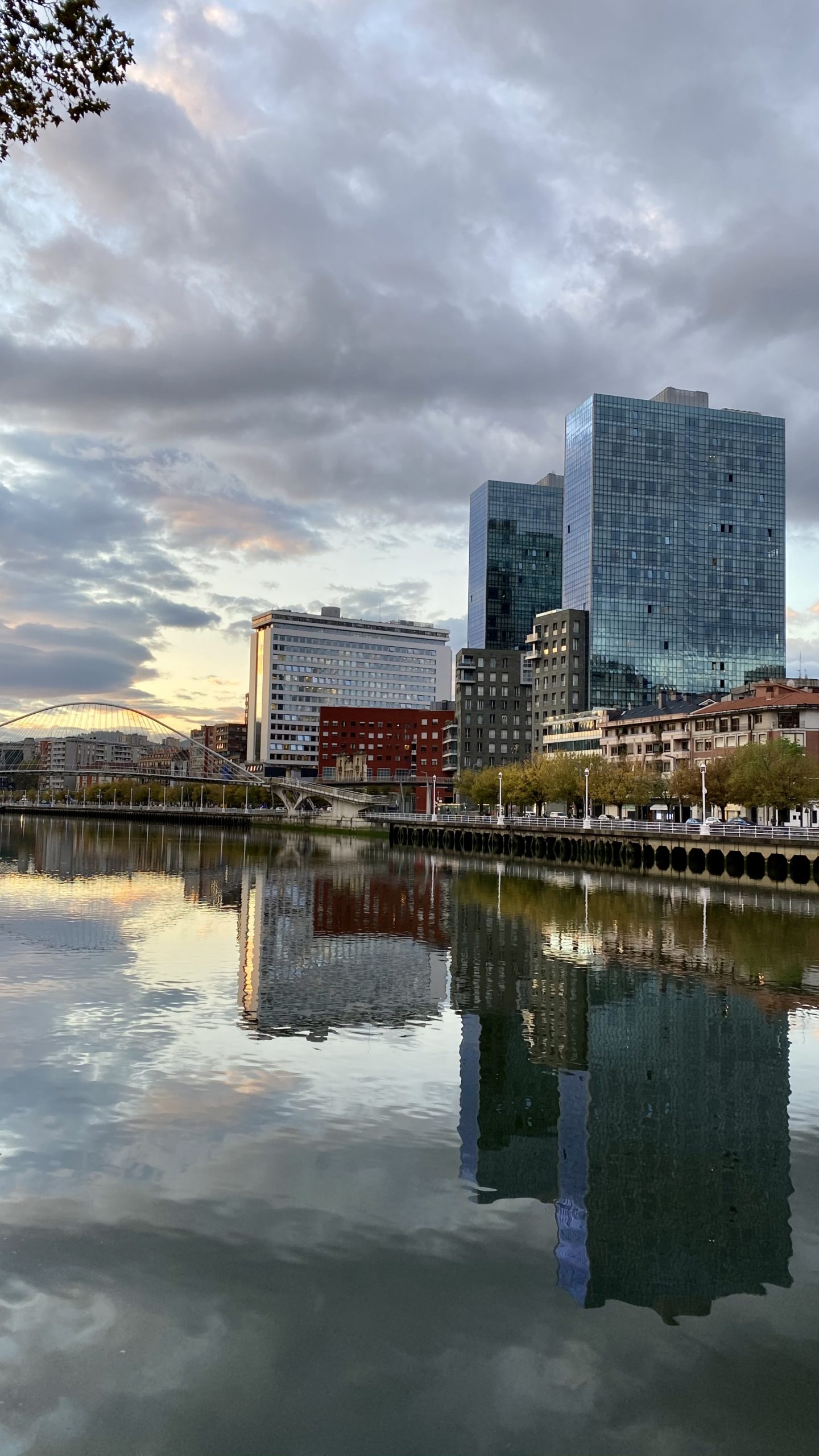 Fundación Novia Salcedo. empleo, emprendizaje, futuro.