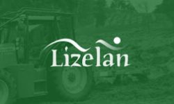 Becas Prácticas profesionales remuneradas en Lizelan con Fundación Novia Salcedo