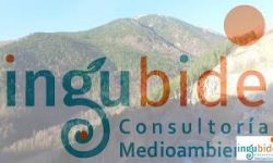 Becas Prácticas profesionales remuneradas en Ingubide con Fundación Novia Salcedo.