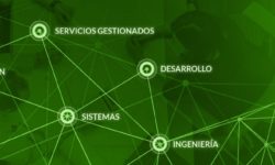 Becas Prácticas profesionales remuneradas en talio con Fundación Novia Salcedo