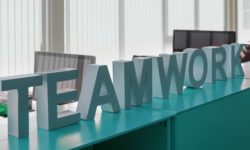 Becas Prácticas profesionales remuneradas en Teamwork Editorial con Fundación Novia Salcedo.