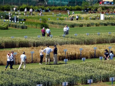 2 Becas Global Training en investigación genética en plantas – Kent – Ref.INT4142