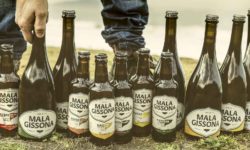 Becas Prácticas profesionales remuneradas en Euskal Beer Mala Gissona con Fundación Novia Salcedo.