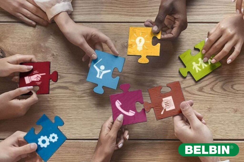 Becas Prácticas profesionales remuneradas en Belbin con Fundación Novia Salcedo.