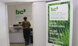 Becas Prácticas profesionales remuneradas en bc3research con Fundación Novia Salcedo