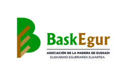 Becas Prácticas profesionales remuneradas en Baskegur con Fundación Novia Salcedo