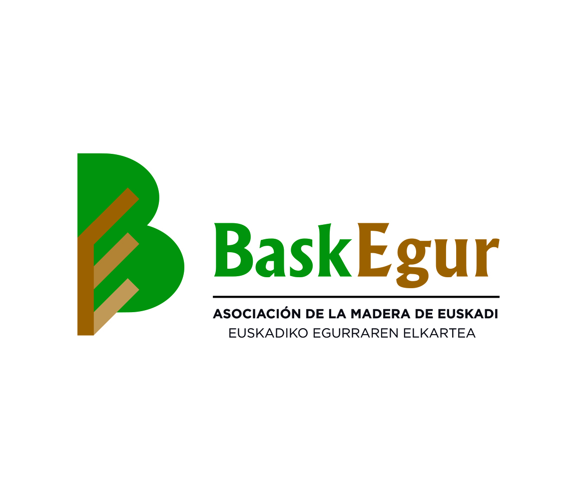 Becas Prácticas profesionales remuneradas en Baskegur con Fundación Novia Salcedo