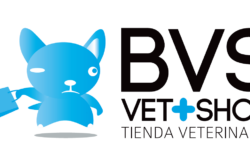 Becas Prácticas Profesionales remuneradas en VetShop con Fundación Novia Salcedo