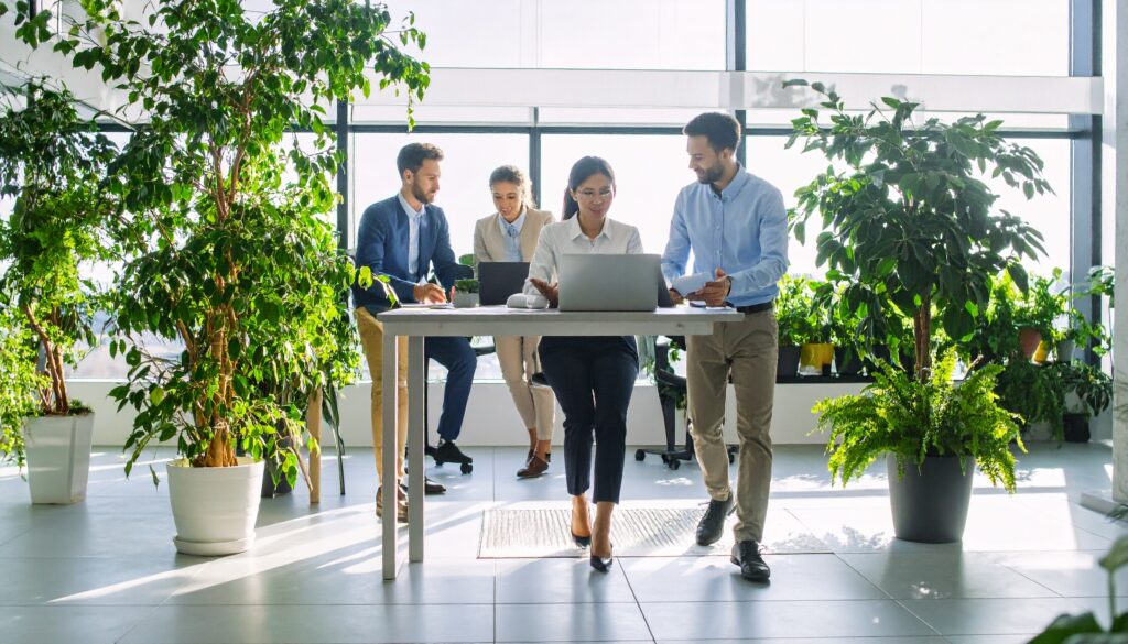 Basque Green Talent. Programa de formación y prácticas de Fundación Novia Salcedo, Ihobe, Cofinanciado por la Unión Europea, Eusko Jaurlaritza Gobierno Vasco