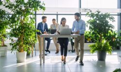 Basque Green Talent. Programa de formación y prácticas de Fundación Novia Salcedo, Ihobe, Cofinanciado por la Unión Europea, Eusko Jaurlaritza Gobierno Vasco