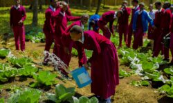 Becas Global Training en Teach a Man to fish con Fundación Novia Salcedo