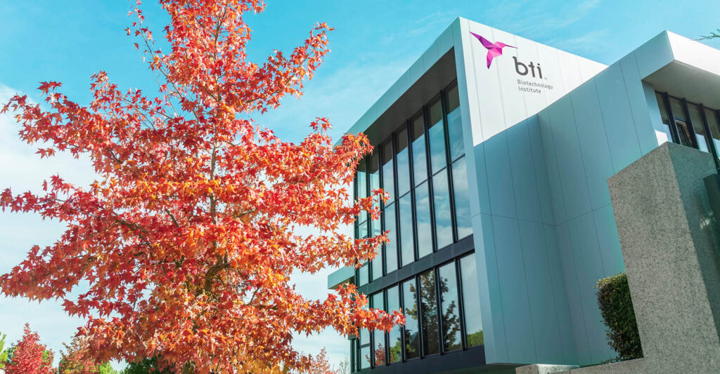 Prácticas profesionales remuneradas en BIOTECHNOLOGY INSTITUTE BTI con Fundación Novia Salcedo