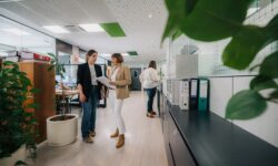 Becas Prácticas profesionales remuneradas en Asesoria Zenbaki con Fundación Novia Salcedo