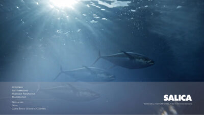 Manejo de datos de producción, consumos y rendimientos con precisión. – Bermeo – Ref.11007