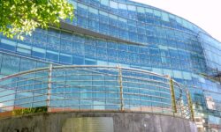 Becas Prácticas profesionales remuneradas en Ihobe con Fundación Novia Salcedo