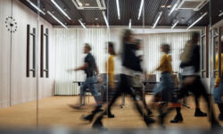 Becas Prácticas profesionales remuneradas en Achucarro con Fundación Novia Salcedo