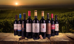 Becas Prácticas profesionales remuneradas Bodegas Ramírez de la Piscina con Fundación Novia Salcedo