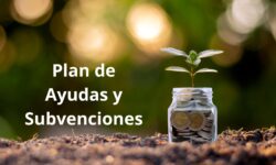 Becas Prácticas profesionales remuneradas en Didnova con Fundación Novia Salcedo