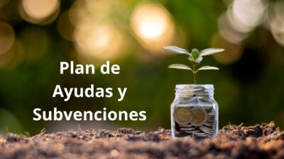 Práctica profesional en consultoría de subvenciones y apoyo al desarrollo de negocio, integrándose en proyectos reales y en el funcionamiento diario de una consultora especializada. – Derio – Ref.01018