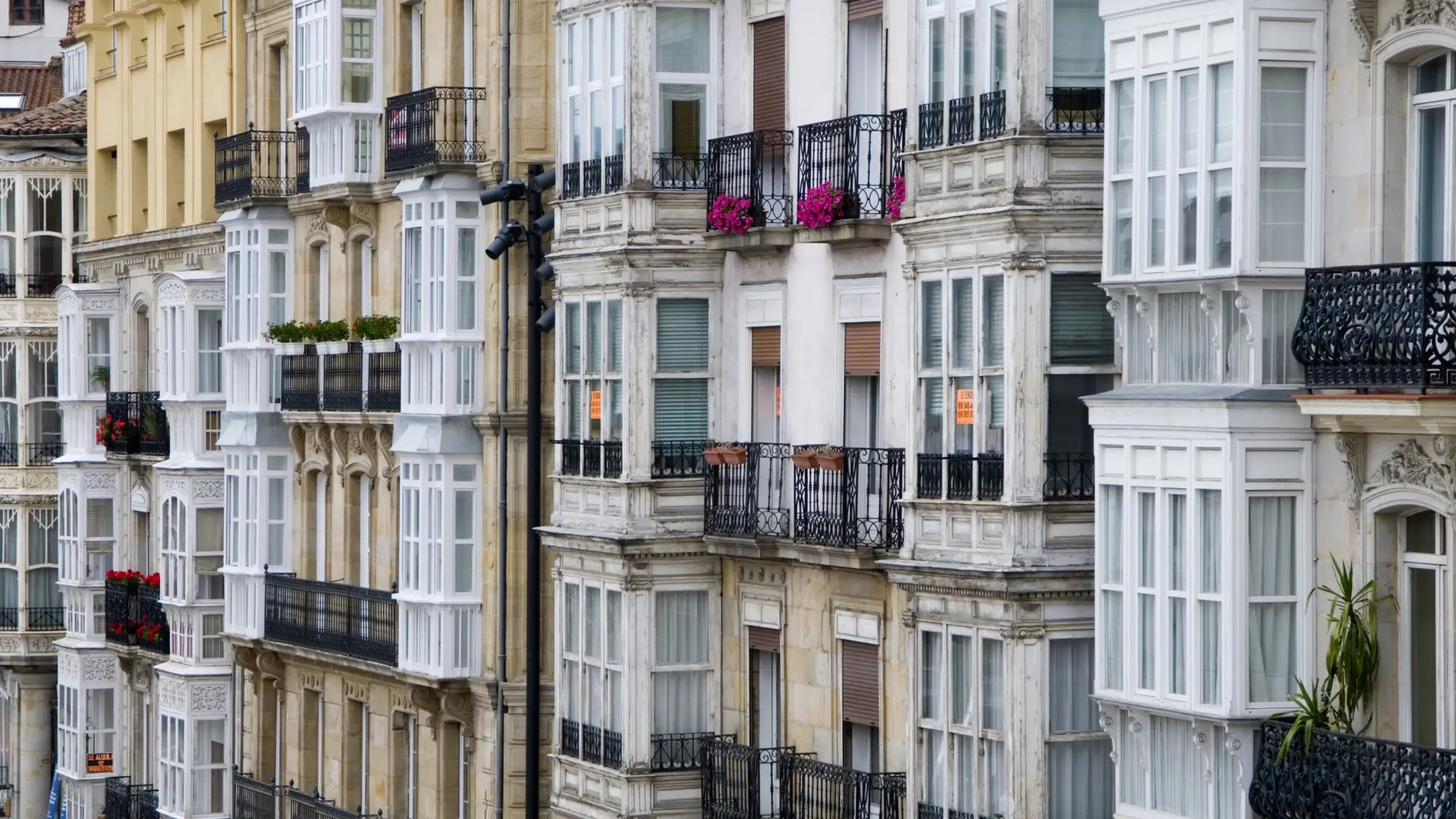 Fundación Novia Salcedo. empleo, emprendizaje, futuro. Fundación Novia Salcedo. empleo, emprendizaje, futuro.