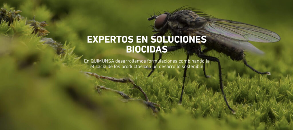 Becas Practicas profesionales remuneradas en Quimunsa con Fundación Novia Salcedo